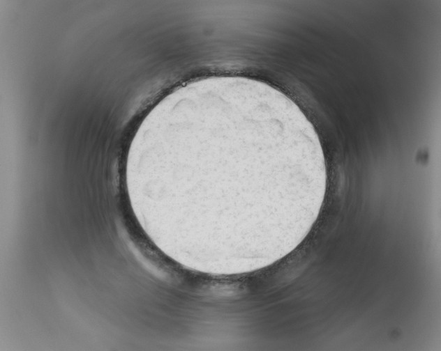 X0000113130638200910161133