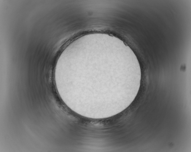 X0000113130640200910161133
