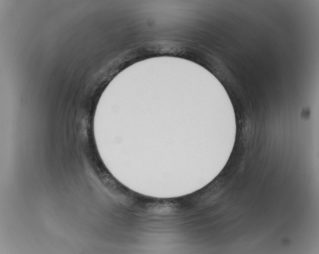 X0000113130643200910161133