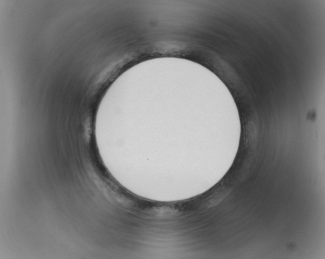 X0000113130644200910161133