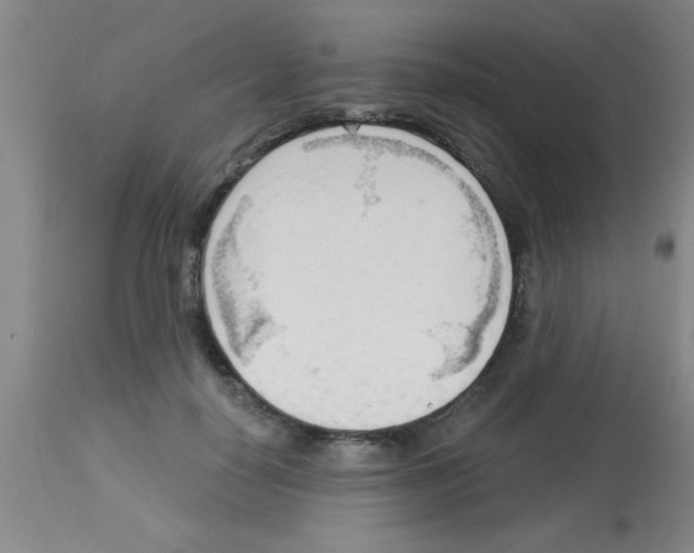 X0000113130650200910161133