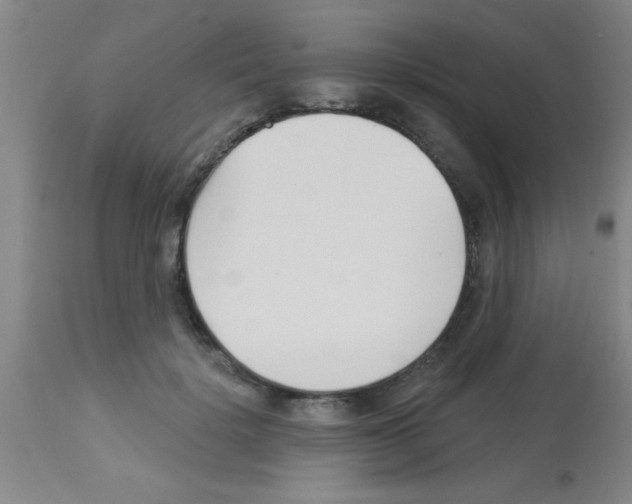 X0000113130652200910161133