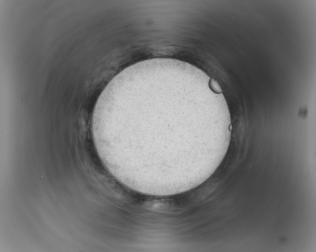 X0000113130655200910161133
