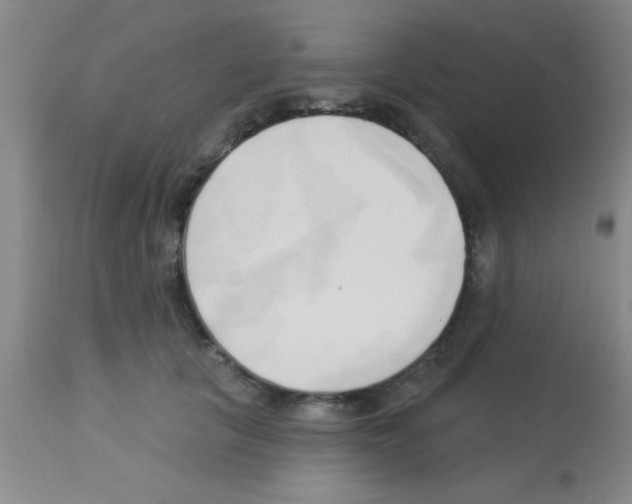 X0000113130657200910161134