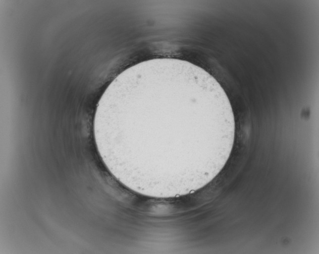 X0000113130658200910161134
