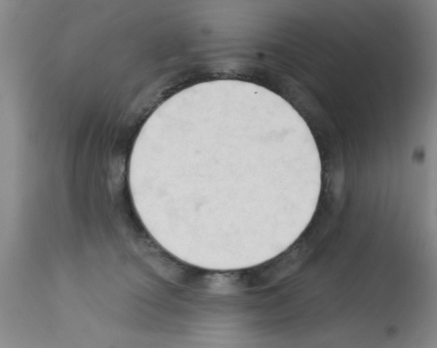 X0000113130660200910161134