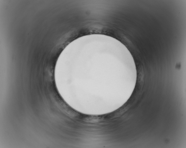 X0000113130661200910161134