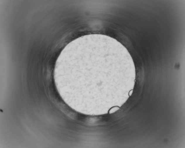 X0000113130662200910161134