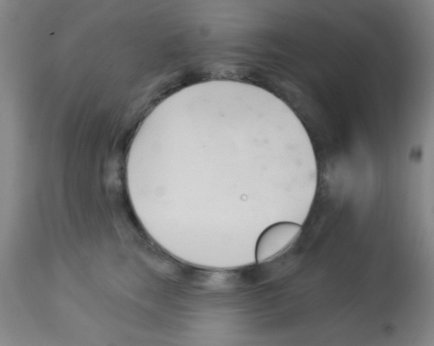 X0000113130663200910161134