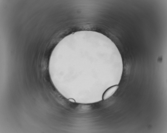X0000113130665200910161134