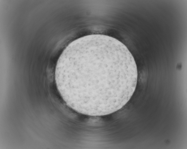 X0000113130666200910161134