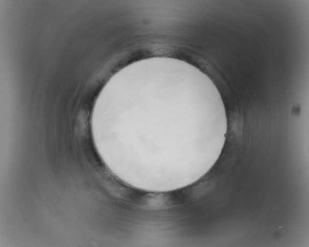 X0000113130667200910161134