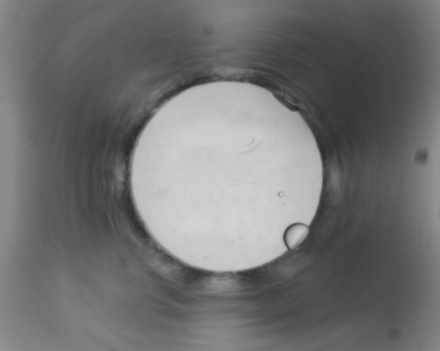 X0000113130668200910161134