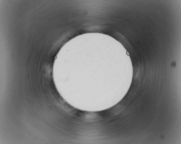 X0000113130669200910161134