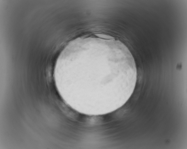X0000113130670200910161134