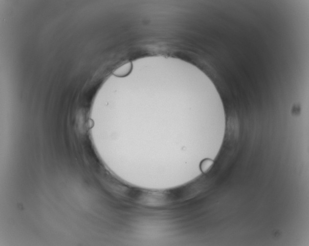 X0000113130671200910161134
