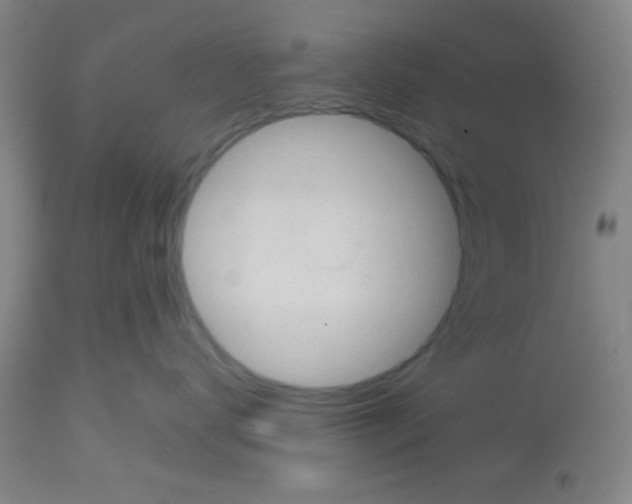 X0000113130672200910161134