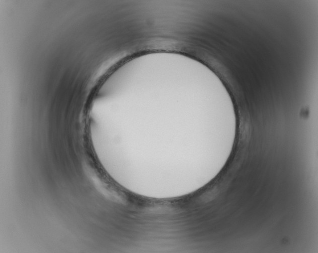 X0000113130674200910161133