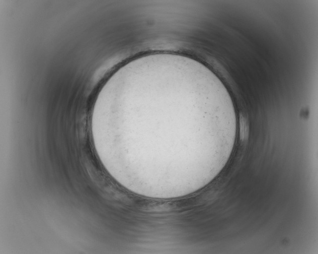 X0000113130675200910161133