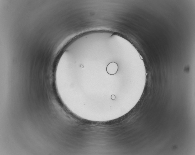 X0000113130676200910161133