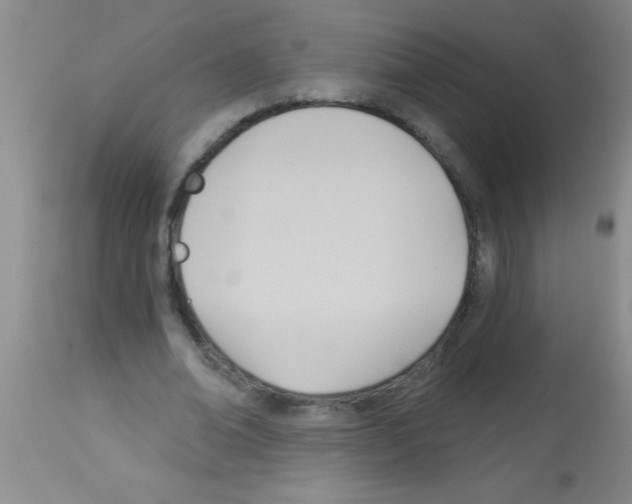 X0000113130678200910161133