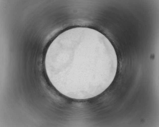 X0000113130679200910161133