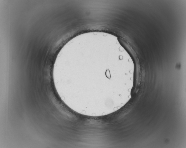 X0000113130681200910161133