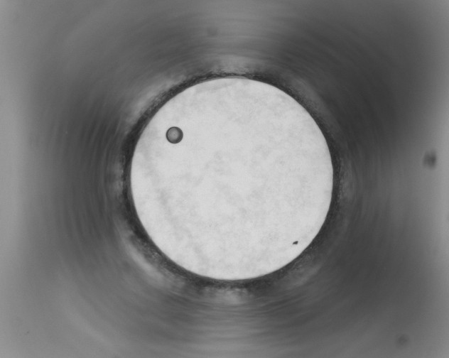 X0000113130683200910161133