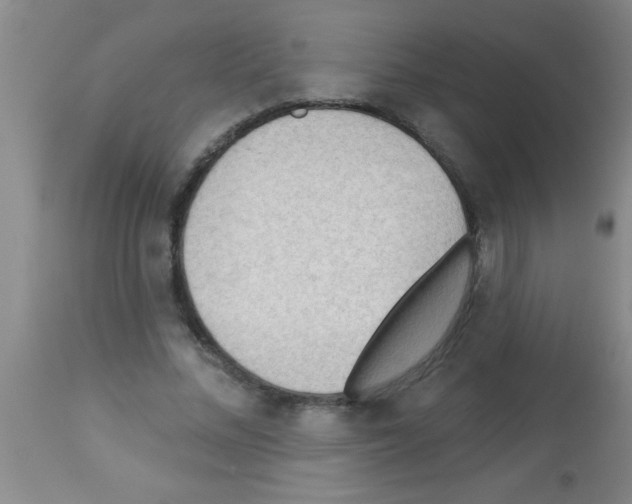 X0000113130684200910161133