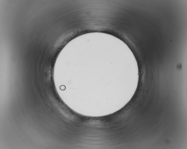 X0000113130685200910161133