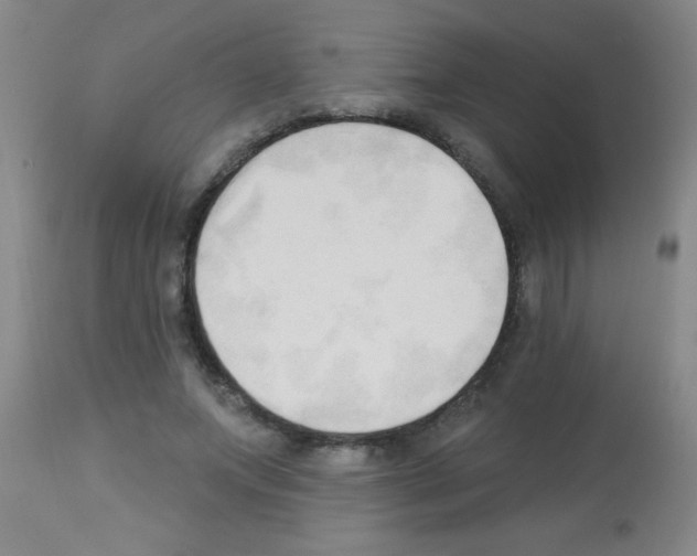 X0000113130687200910161133