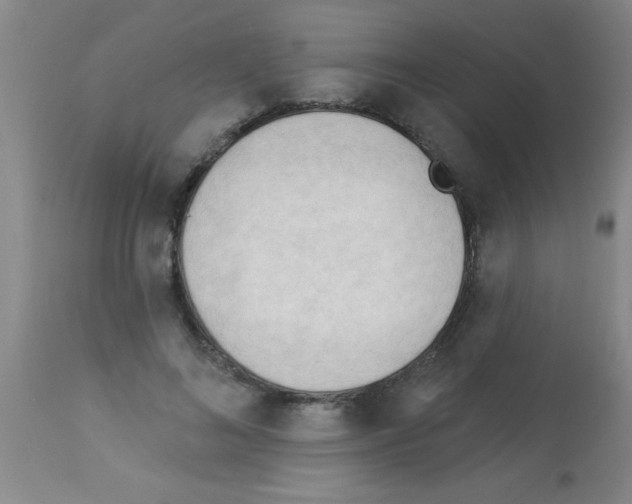 X0000113130692200910161133