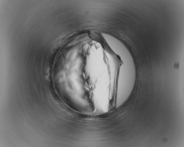 X0000113130693200910161133