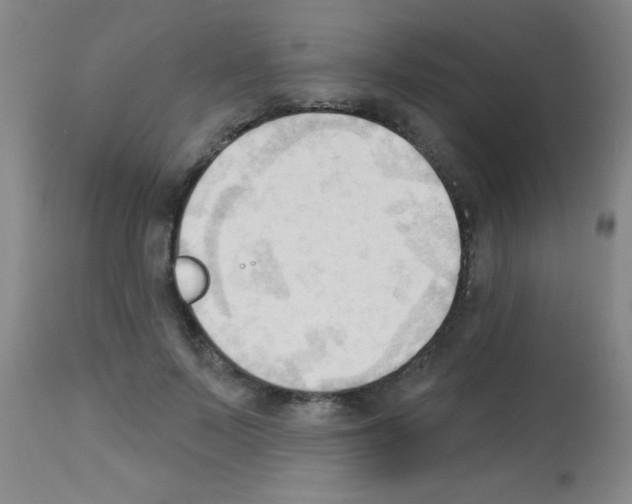 X0000113130695200910161133