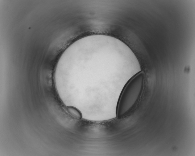 X0000113130696200910161133