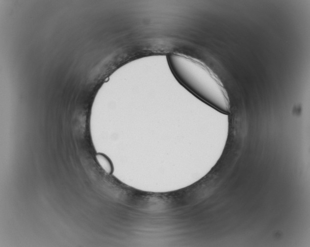 X0000113130697200910161133