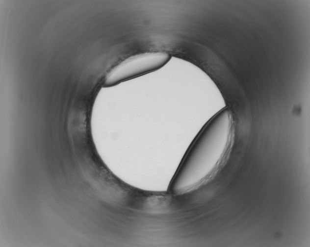 X0000113130700200910161133