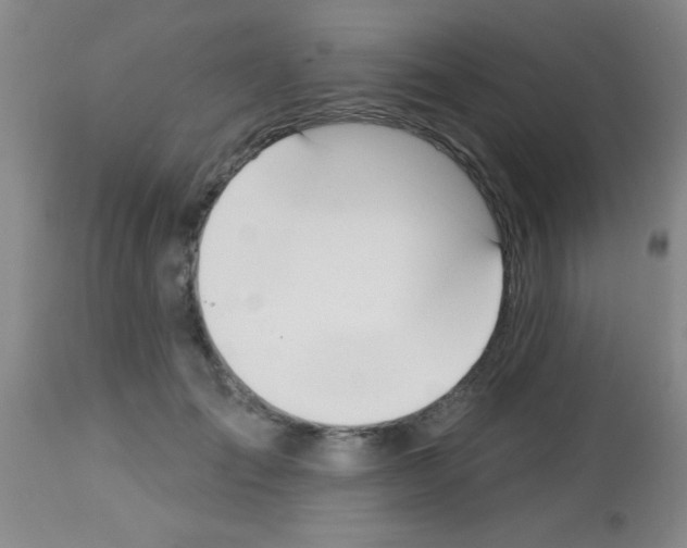 X0000113130701200910161133