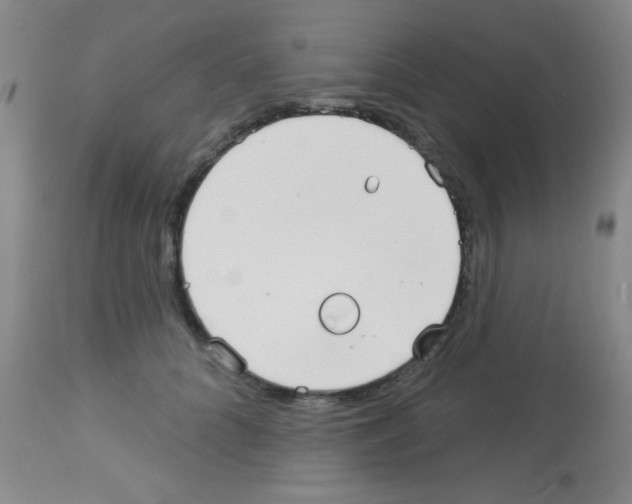 X0000113130704200910161132