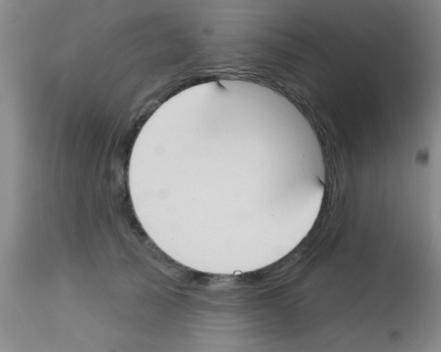 X0000113130705200910161132