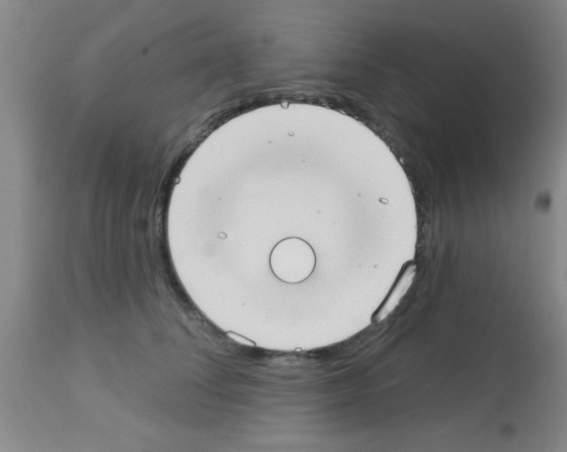 X0000113130708200910161132
