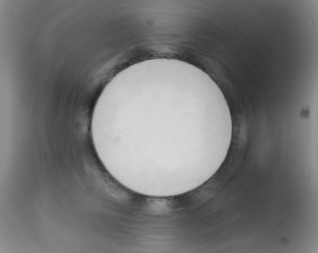 X0000113130710200910161132