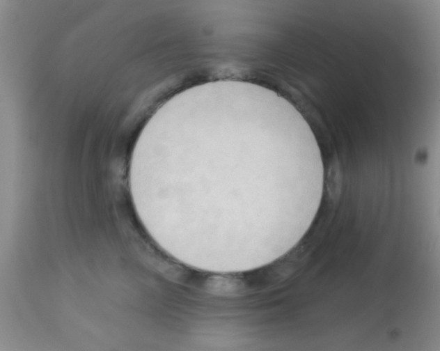 X0000113130714200910161132