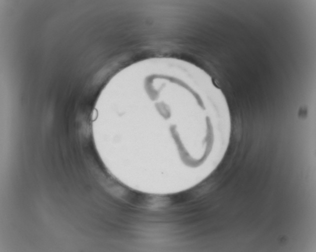 X0000113130719200910161132