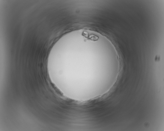 X0000113130720200910161132