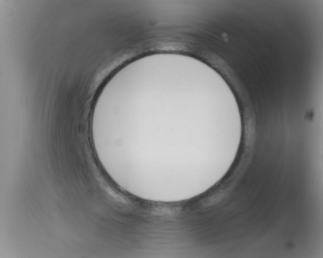 X0000113130721200910161131