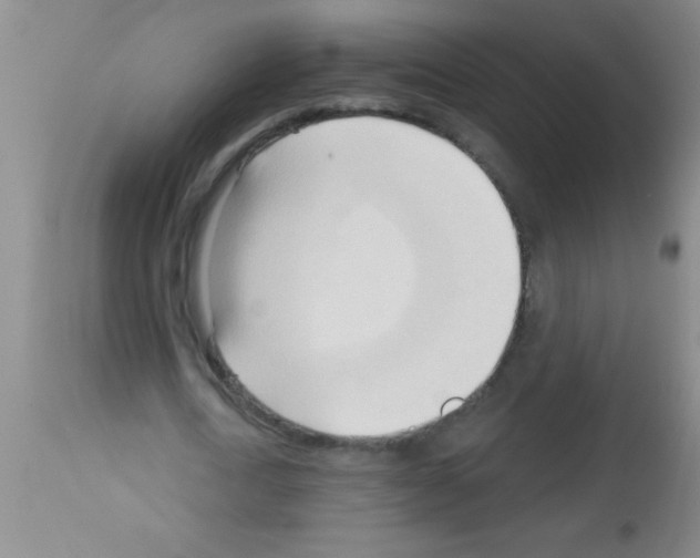 X0000113130722200910161131