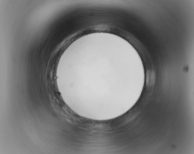 X0000113130723200910161131