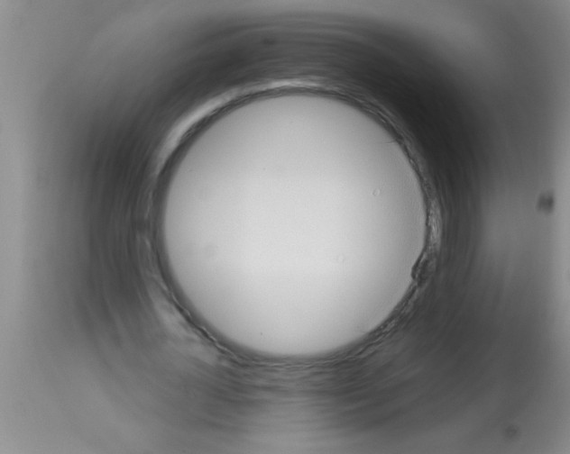 X0000113130724200910161131