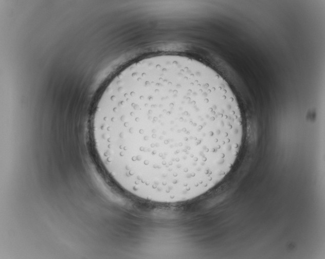 X0000113130725200910161131